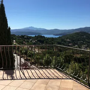 Ray Capoliveri (Isola d'Elba)